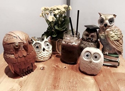 Cute owls and colourful flowers on the tables