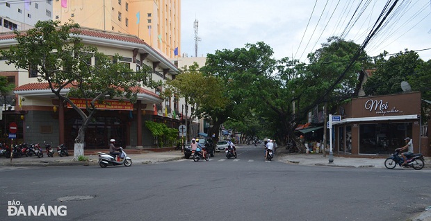 Nhìn từ ngã tư phố Lê Hồng Phong rợp bóng những hàng cây xanh