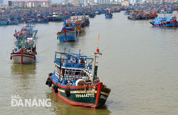 Tàu của ngư dân miền Trung từ Đà Nẵng ra khơi khai thác hải sản. 						       ảnh: NGỌC PHÚ