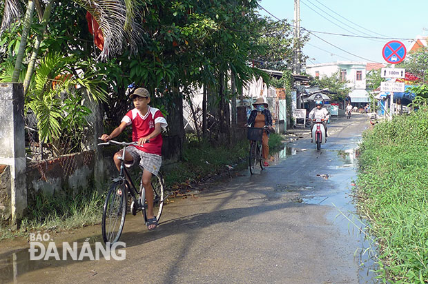 Đường liên tổ trong thôn Đông Hòa luôn trong tình trạng ứ đọng nước, rau muống, cỏ dại mọc tràn hai bên đường.