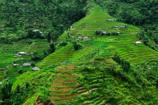 Ruộng bậc thang ở Hoàng Su Phì, Hà Giang