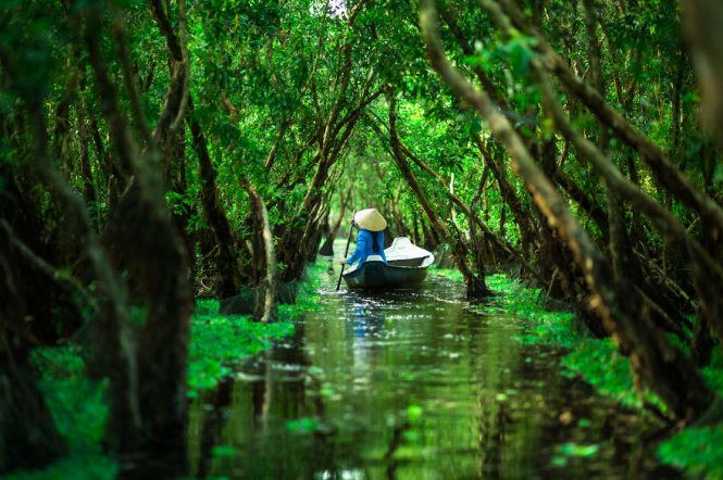 Rừng Trà Sư, Châu Đốc