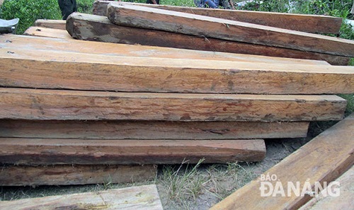 The 10m3 of poached timbers found in the special use forest