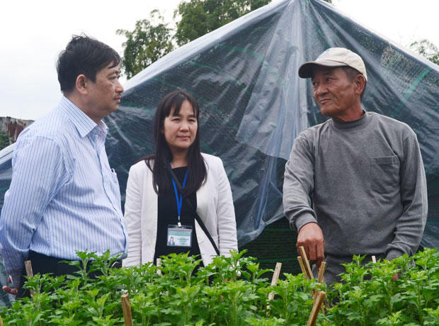 Phó chủ tịch UBND thành phố Đặng Việt Dũng thăm mô hình trồng hoa cúc của hộ ông Trương Thế Hải (phường Hòa Thọ Tây, quận Cẩm Lệ)
