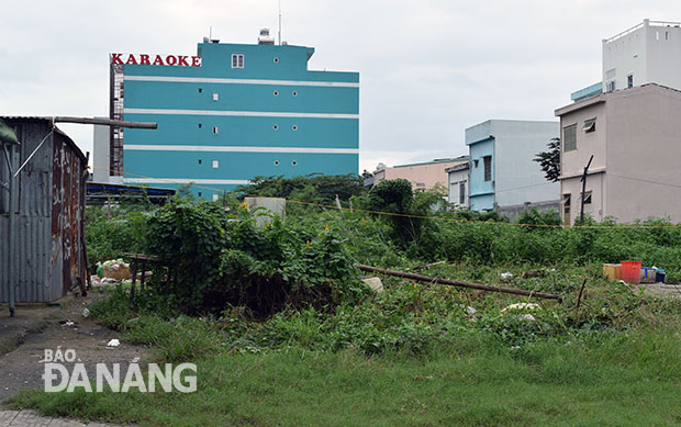 Trên tuyến đường Xô Viết Nghệ Tĩnh, phường Hòa Cường Nam vẫn còn nhiều khu đất bỏ hoang để cỏ mọc um tùm, gây ô nhiễm môi trường.