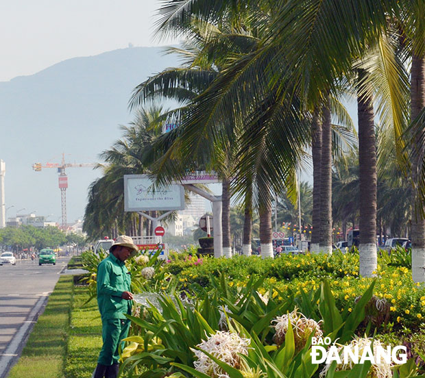 Cây xanh đô thị là một yếu tố không kém phần quan trọng để làm nên một Đà Nẵng - “thành phố đáng sống”.  										Ảnh: HOÀNG HIỆP