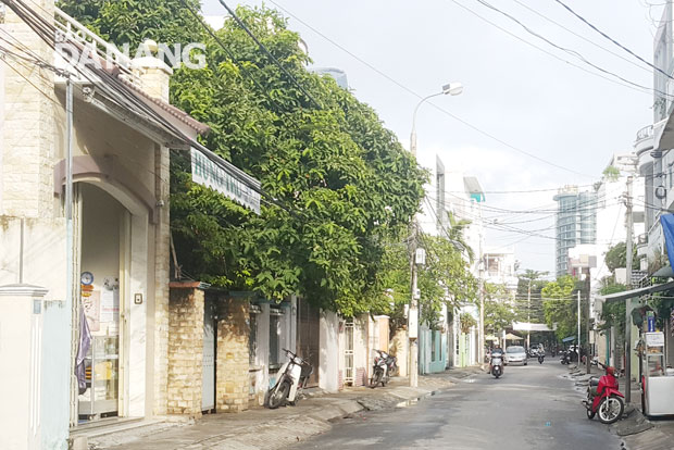 Nằm ngay trung tâm của thành phố Đà Nẵng nhưng con đường Lê Lai không nhuốm màu nhộn nhịp của phố thị mà vẹn nguyên nét tĩnh tại, an yên 