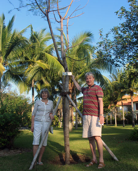 Mr and Mrs Behle standing next to the poinciana tree they planted in July 2015