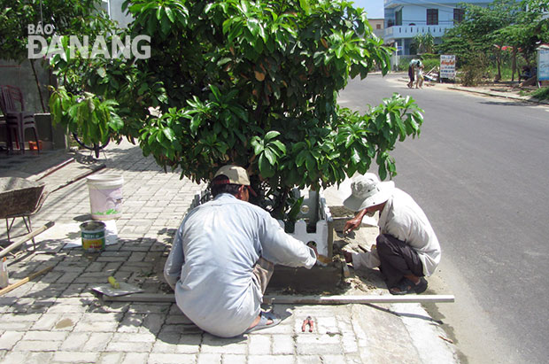 Người dân lắp đặt bo viền các gốc cây để mang lại diện mạo sạch đẹp cho phố phường.