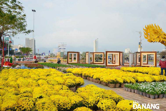 Flower display on Bach Dang during the 2015 Tet Festival