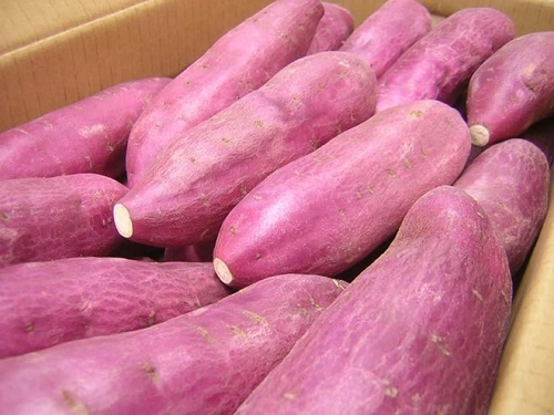 Japanese sweet potatoes - Illustrative image (Source: VNA)