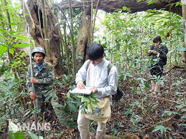 Anh Trương Ngọc Túy (trái) tham gia dẫn đường đoàn nghiên cứu, bảo tồn.