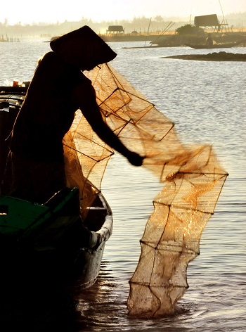  ‘Buoi Sang o Tam Giang’ (Morning on Tam Giang)