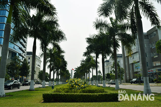 Để có những tuyến đường xanh, Đà Nẵng luôn cần sự chung sức đóng góp từ cộng đồng. Trong ảnh: Cây xanh đường 30 Tháng 4 do ngân sách thành phố đầu tư.