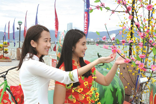  Admiring colourful flowers along the banks of the Han River