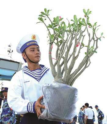     A porcelain flower tree brought from the mainland