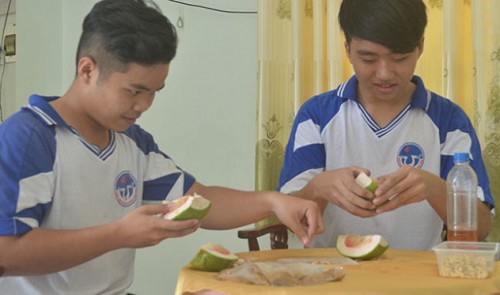 Duong Quoc Trung from Tra Vinh Province (R) is seen collecting grapefruit seeds to make his medicinal tea which can remove kidney stones. Tuoi Tre