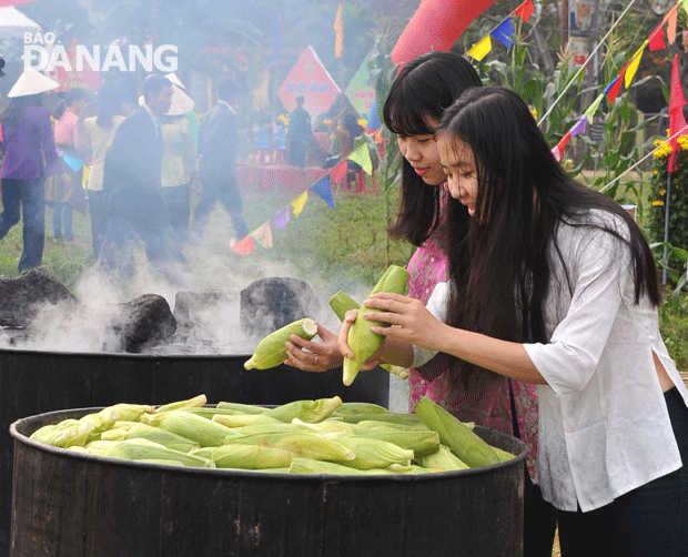 Cây bắp nếp góp phần nâng cao nét văn hóa ẩm thực của Cẩm Nam. Năm nay, theo ban tổ chức, cũng có trên 10.000 trái bắp nếp được luộc, chế biến các món ăn và trưng bày để phục vụ khách đến với ngày hội.