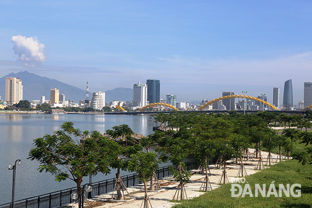 Mô hình “Quỹ Đà Nẵng xanh” sẽ góp phần phát triển hệ thống cây xanh, xây dựng Đà Nẵng là thành phố có môi trường sống xanh - sạch - đẹp. Ảnh: V.T.L