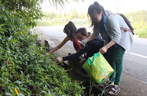Youths are seen picking up litter on the way to Linh Ung Pagoda in Son Tra Peninsula. (Photo: Tuoi Tre)