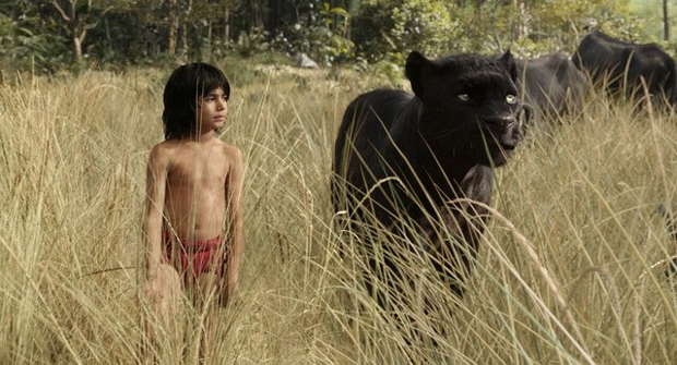 Diễn viên nhí Neel Sethi vào vai Mowgli trong phim The Jungle book.