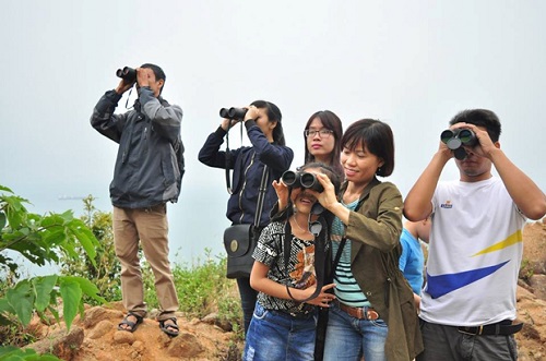  Visitors admiring the beautiful nature on the peninsula