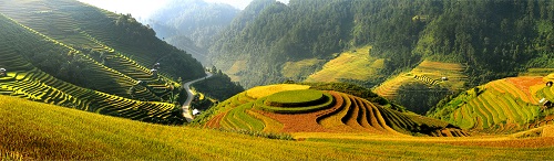  ‘Ruong Bac Thang Mu Cang Chai-Yen Bai’ (Terraced Fields in Mu Cang Chai -Yen Bai Province)