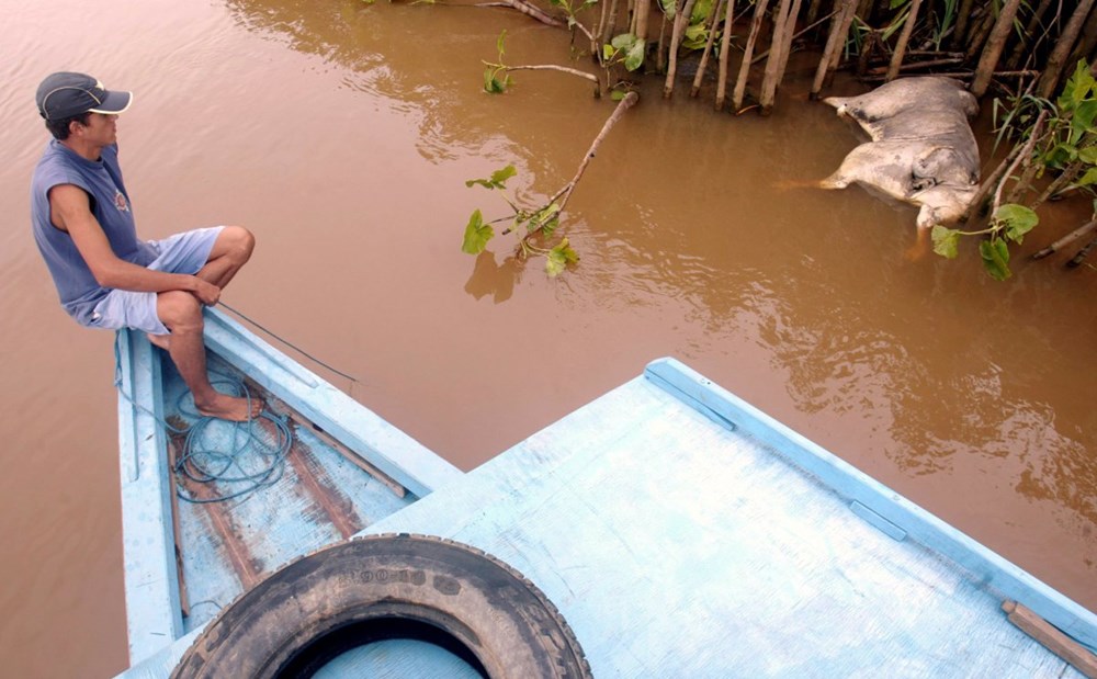 320 triệu gallons nước thải từ một nhà máy ở Minas Gerais làm ô nhiễm nguồn nước của 7 thành phố. Hơn 600.000 người dân không có nước sạch. (Nguồn: Techinsider) 