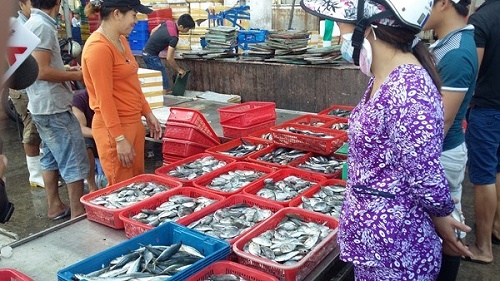 Central provinces put clean fish for sale amid poisoned fish fear (Source: laodong.com.vn)