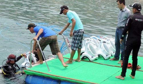 A tourist is seen wearing ‘Sea TREK’ to take part in the newly launched seawalking service in Hoi An City. Tuoi Tre