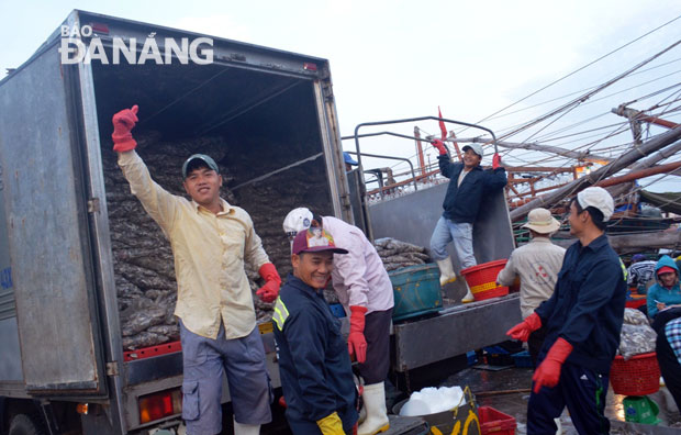 Niềm vui trở lại của các nhân viên bốc vác cá ở âu thuyền Thọ Quang