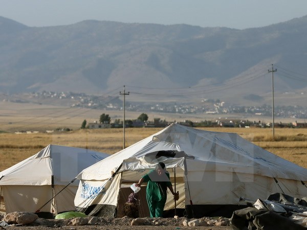 Trại tị nạn dành cho người Hồi giáo dòng Shiite thuộc bộ tộc nói tiếng Turkic tại Tal Afar. (Nguồn: AFP/TTXVN)