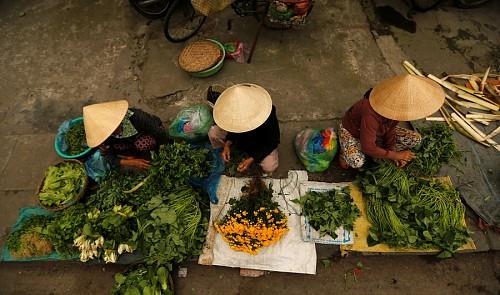 Women wearing traditional hats, known as a non la, sit in a market in Hoi An, Vietnam April 5, 2016. Reuters