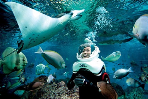 A tourist enjoys seeing creatures in the seabed of Cu Lao Cham (Source: culaochamtourist.com.vn)