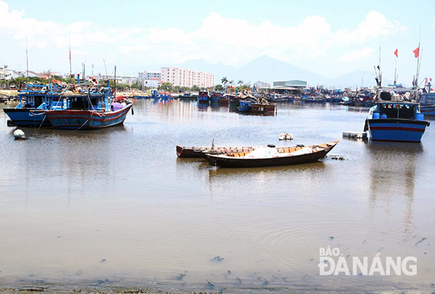 Nước thải, rác thải, thành phần hữu cơ phân hủy đọng lâu ngày dưới đáy bùn âu thuyền gặp trời nắng nóng, oi bức thì sục khí lên gây mùi hôi.