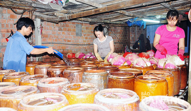 Sản xuất tại Hợp tác xã Giá đỗ Nghi An - một trong những đơn vị được hỗ trợ đăng ký bảo hộ nhãn hiệu. 