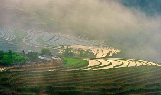 Terraces in the northern province of Lao Cai’s Bat Xat District at sunset Tuoi Tre