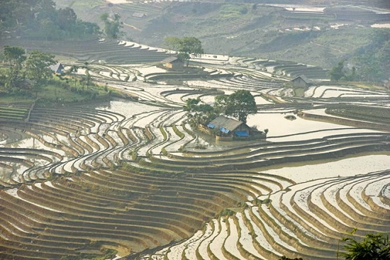 The province has already seen more rain than usual and farmers have been taking advantage of this by getting water to their field earlier than previous years. Photo: Tuoi Tre