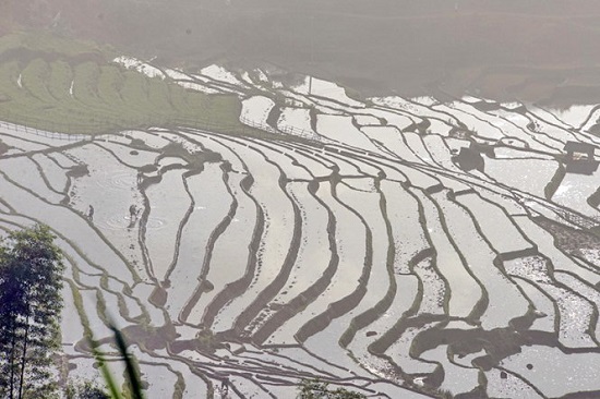  Water on the fields. Photo: Tuoi Tre