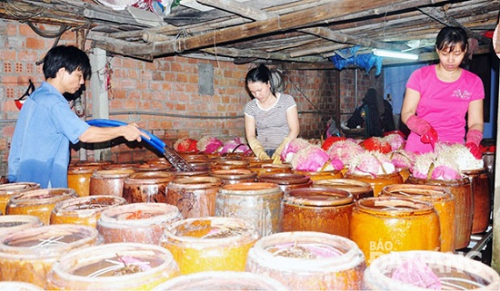 Employees at the Nghi An Bean Sprouts Cooperative