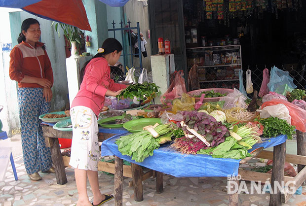 Hỗ trợ hộ nghèo buôn bán nhỏ ở Hòa Khánh Bắc.