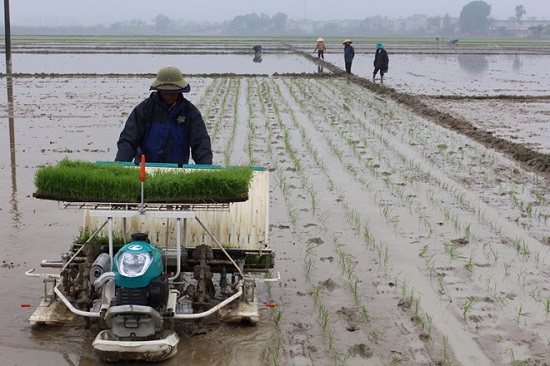 A farmer uses a rice-cultivating machine to plant rice. (Source: foodsecurity.dupont.com)