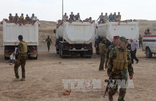 Người dân Iraq tới khu vực an toàn ở Subayat sau khi sơ tán từ Fallujah ngày 12/6. Ảnh: AFP/TTXVN