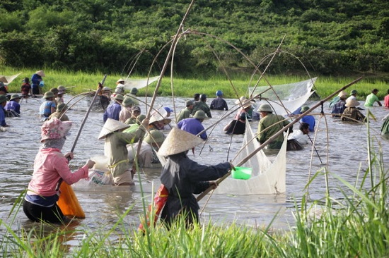  While many chose fishing coops to catch fish, other utilized lift nets. Photo: Tuoi Tre