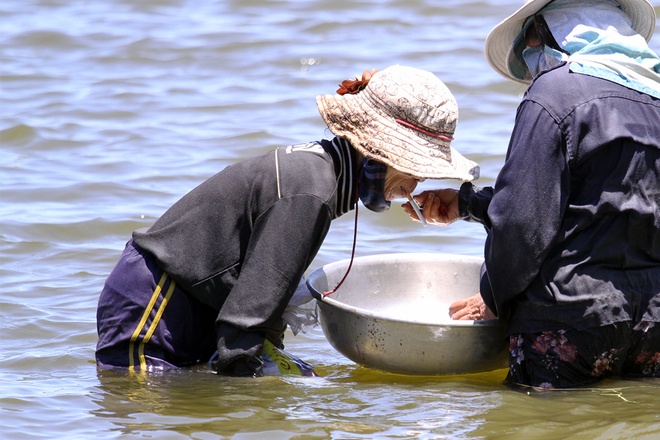 Ngâm mình lâu dưới nước, không ít phụ nữ cũng châm điếu thuốc cho ấm người. Họ thường ra sông bắt nghêu từ khoảng 8-9h sáng và về nhà lúc 15h chiều.