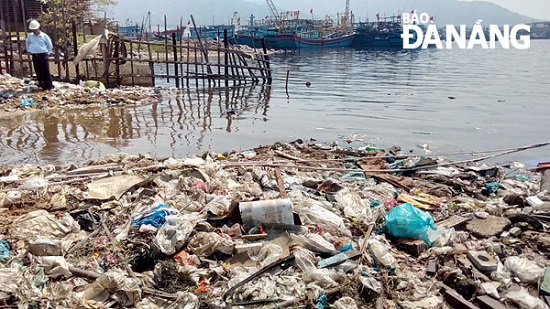 Severe environmental pollution near the wharf