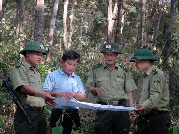 (Ảnh minh họa: Quang Quyết/TTXVN)