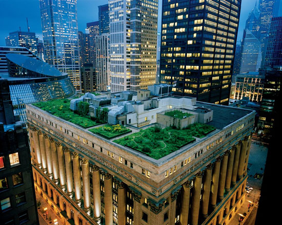 Sân thượng của Tòa thị chính ở Chicago (Mỹ) được tận dụng trồng cây xanh.