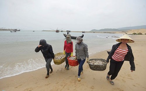 Đến thời điểm này cơ quan chức năng vẫn chưa thể đưa ra một con số đánh giá cụ thể về thiệt hại do thảm hoạ môi trường mà Formosa gây ra khi xả thải đầu độc biển.