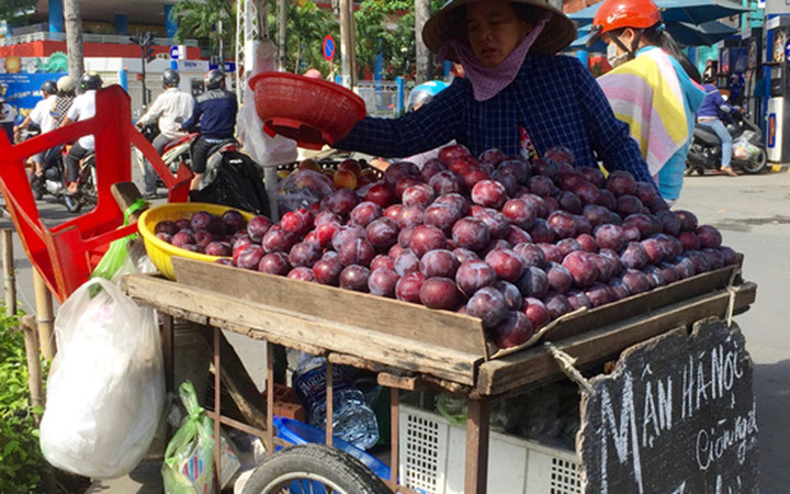 Mận Trung Quốc giả danh mận Hà Nội trái to, ngon ngọt giá chỉ 35.000 đồng một kg bán khá nhiều trên các tuyến đường và chợ truyền thống tại TP HCM